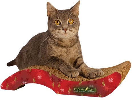 Purr-fect Stretch, Small, Christmas