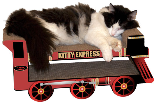 Kitty Express Train