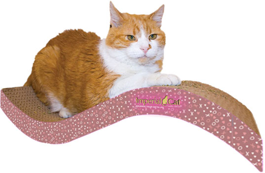 Purrfect-ly In Love Purr-fect Stretch, Medium, Valentine