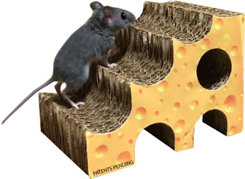 Tiny Habitat Enhancer Cheese
