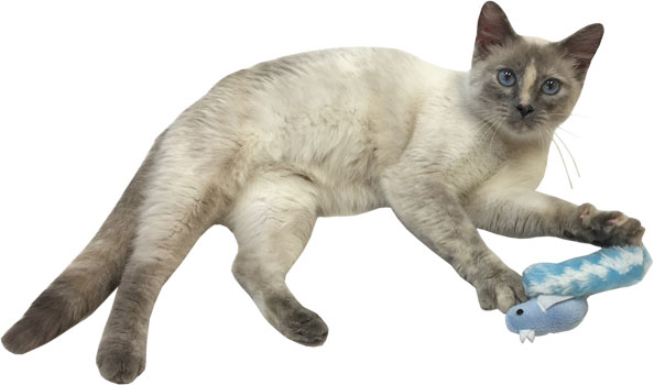 Cat 'n Around Crinkle Tail Catnip Bird Toy