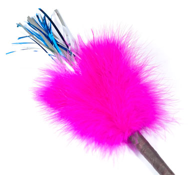 Go Cat Sparkling Tickler, 18