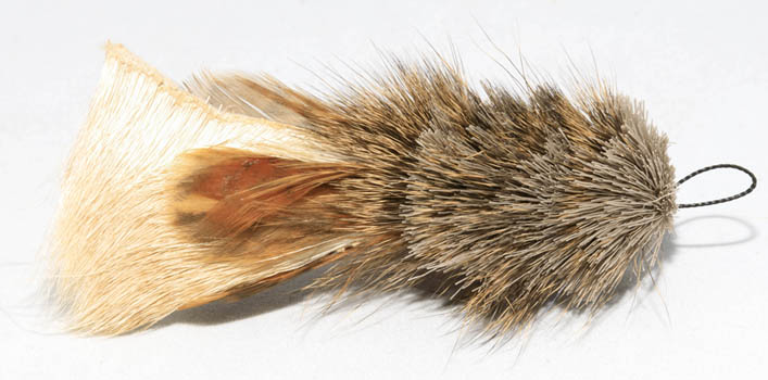 Cat Lures Cat Catcher Attachment, Monster Bug