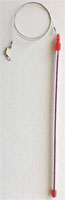 gc97851-scT