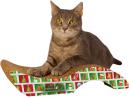 Purr-fect Stretch, Small, Christmas 1