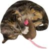 Toughie Catnip Mouse Toy