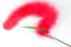 Go Cat Long Cat Tail, 36