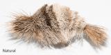 Cat Lures Cat Catcher Attachment, Shrimp 1